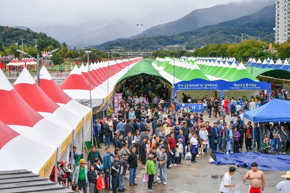 Yeongju Punggi Insam Festival — official photograph 1