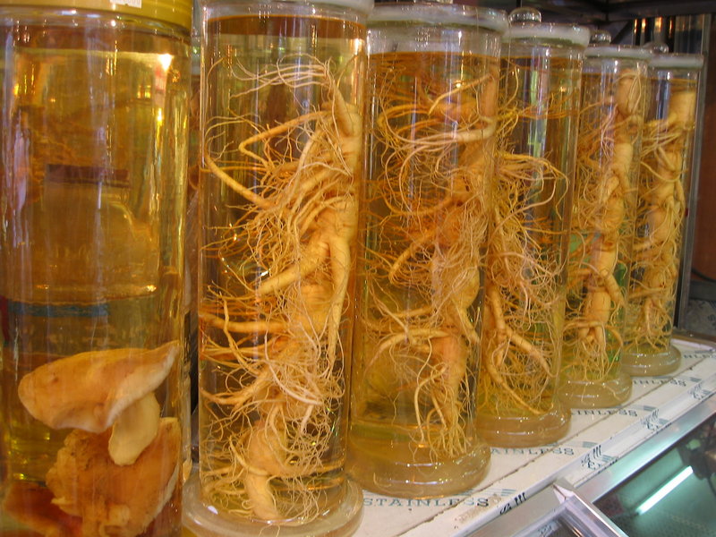 Punggi ginseng